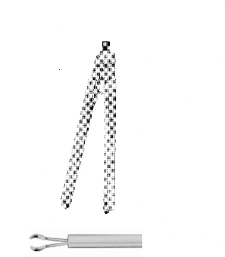 PANSUMAN FORSEPS , OVAL ÇAP  10 MM